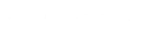 Ghost Division white logo with transparent background